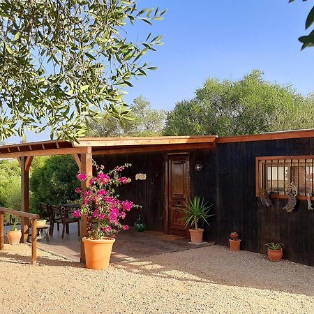 Vila Preciosa Casa De Madera, Andalucia Prado Del Rey Exteriér fotografie